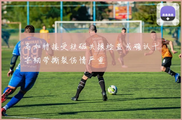 乌加特接受核磁共振检查或确认十字韧带撕裂伤情严重